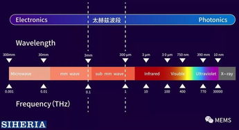 矽赫科技 以太赫茲底層技術為基，開拓智能光電新藍海